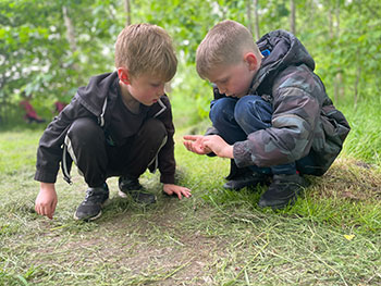 Primary school pupils playing in forest